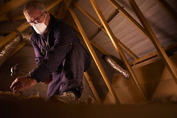Best Eco-Friendly Insulation in Kings Point, NY